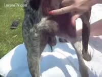 Outdoor dog sex during picnic